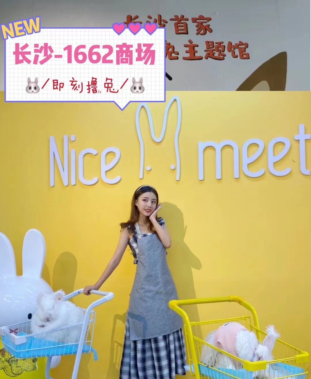 如何避免長(zhǎng)毛兔品種退化？