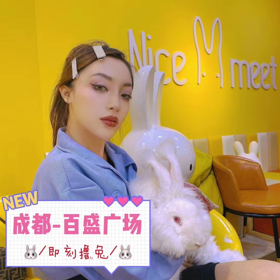 長毛兔毛發細膩有光澤 是紡織高端面料的好原料